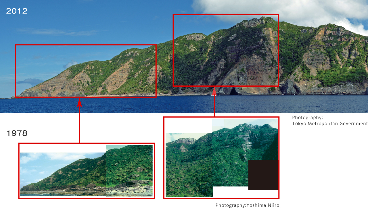 Southern slopes of Uotsuri Island|Comparison of 2012 and 1978